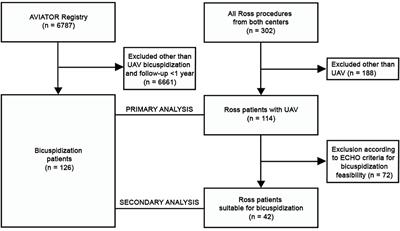 Comparison of bicuspidization and Ross procedure in the treatment of unicuspid aortic valve disease in adults – Insight from the AVIATOR registry